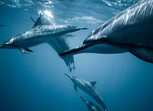 LeyuSports：引领运动潮流的未来之选，与你一起书写健康生活